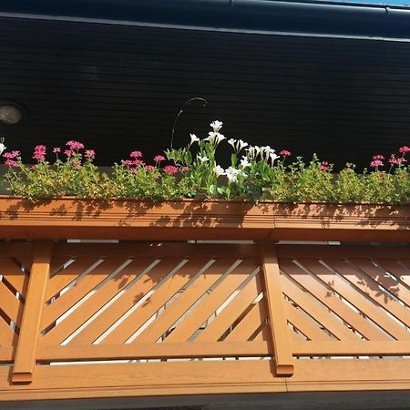 Apartmaji Valter Srpenica Extérieur photo